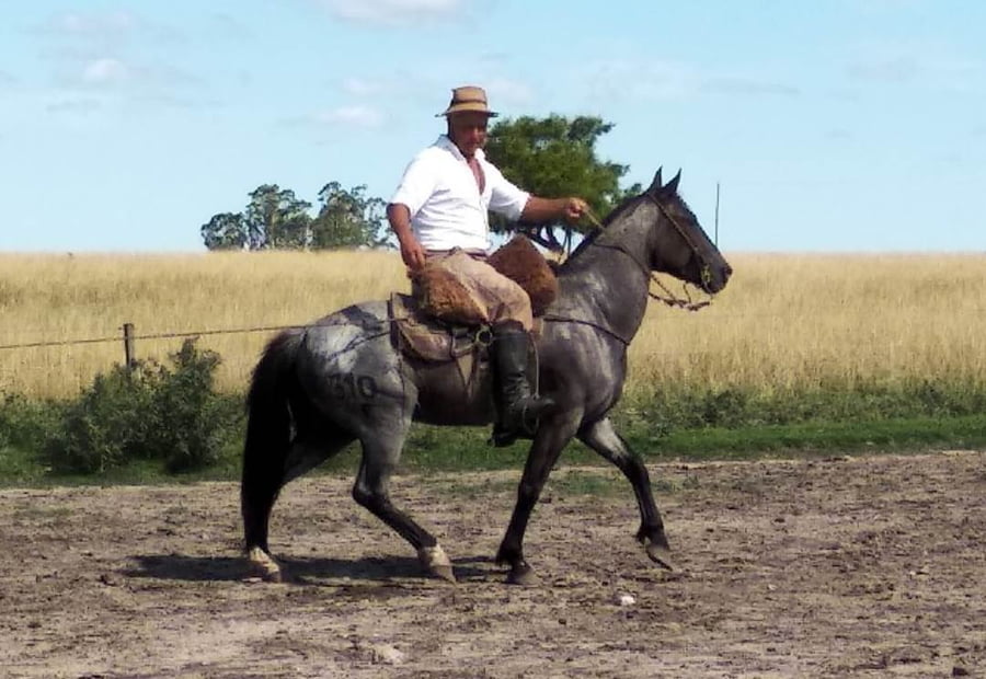 Lote LIDER ESCONDIDO