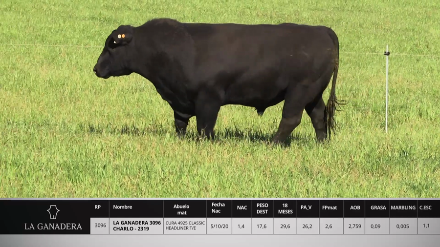 Lote LA GANADERA 3096 CHARLO - 2319