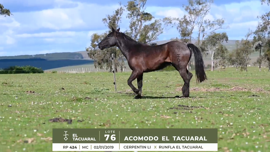 Lote ACOMODO EL TACUARAL