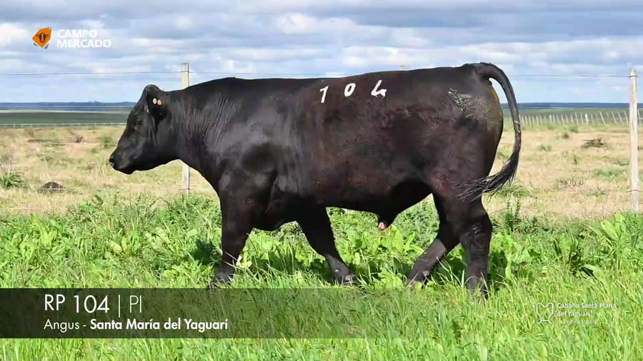 Lote RP 104