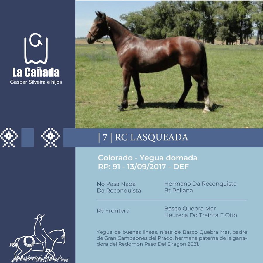 Lote RC Lasqueada (RP 91) Cabaña "La Cañada"