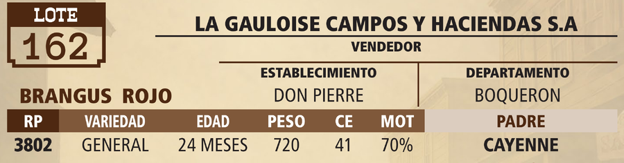 Lote LOTE 162 - VIVO