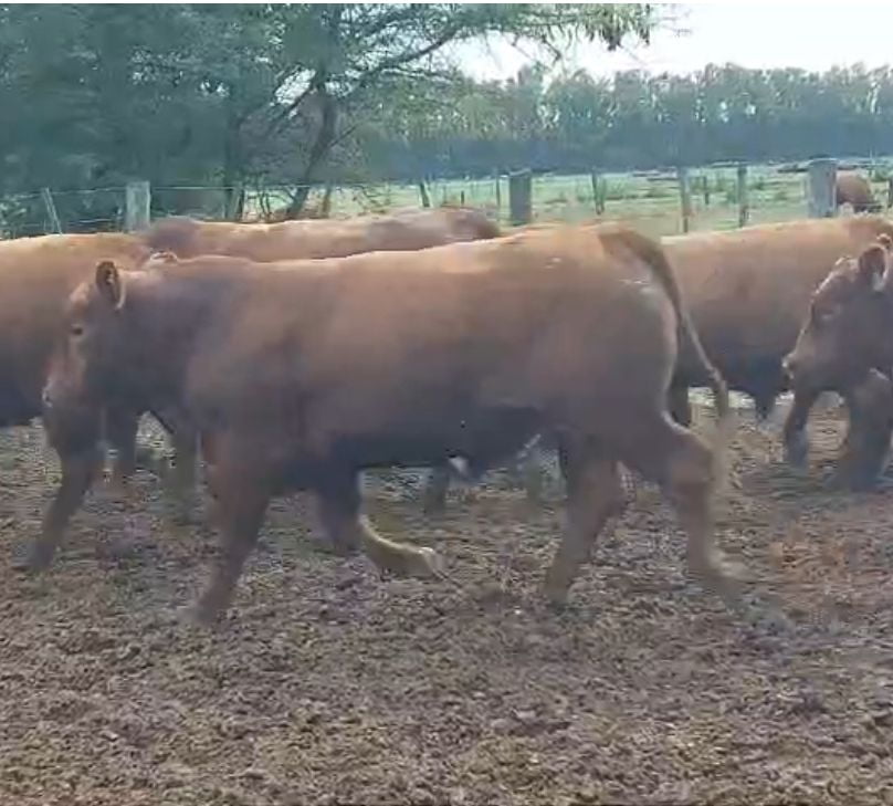 Lote 30 MEJ en Sancti Spititu, Santa Fe