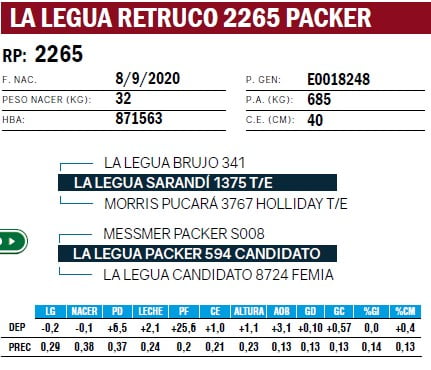 Lote TOROS ANGUS PURO DE PEDIGREE