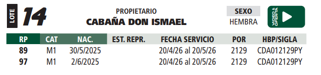 Lote LOTE 14