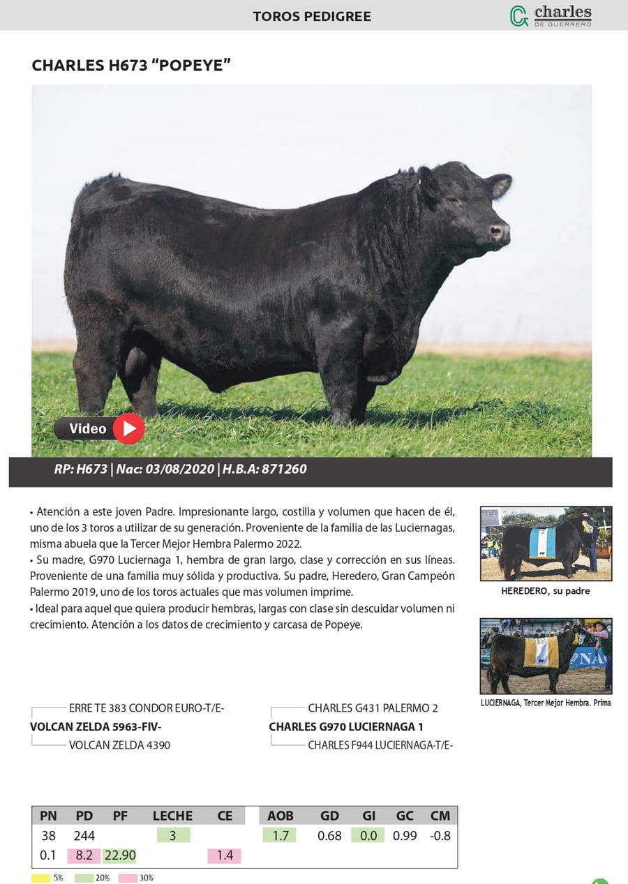 Lote TORO PEDIGREE