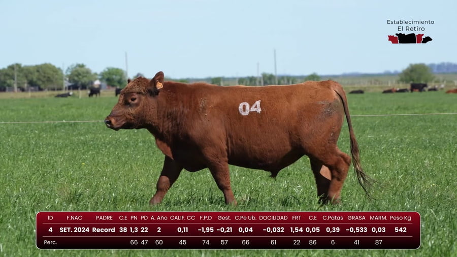 Lote RP 4