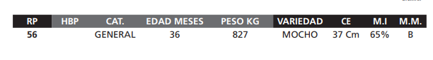 Lote LOTE 58