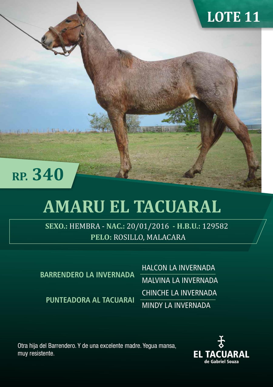 Lote AMARU EL TACUARAL - R.P. 340