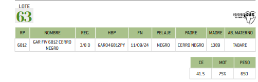 Lote LOTE 63