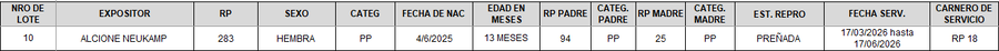 Lote LOTE 10 - CAMPO