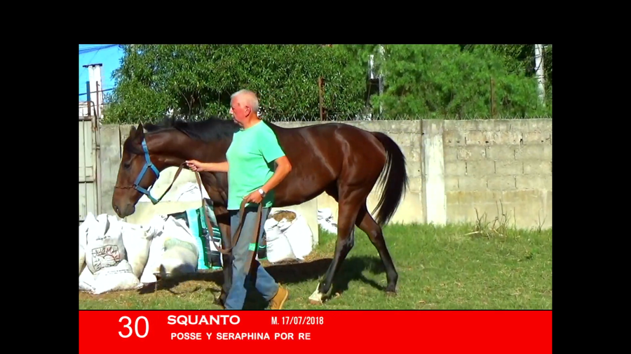 Lote SQUANTO