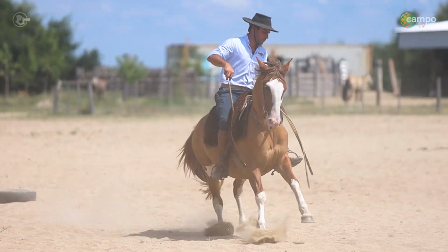 Lote LA ROSADA PAMPERO