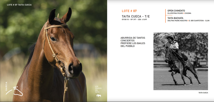 Lote TAITA CUECA - T/E (OPEN CHIMENTO - TAITA BACHATA)