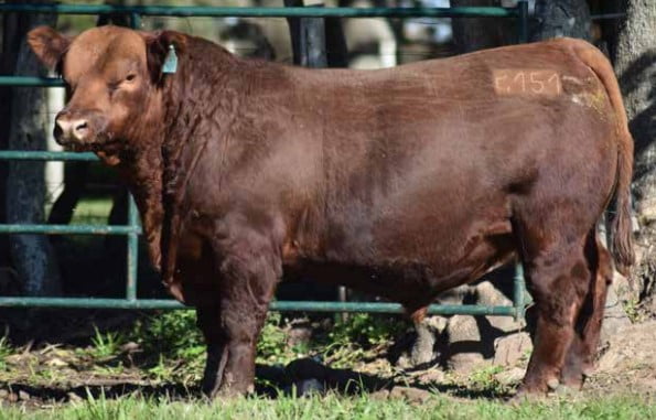 Lote CABAÑA "COEMBOTA" DE CALDERÓN RP 151