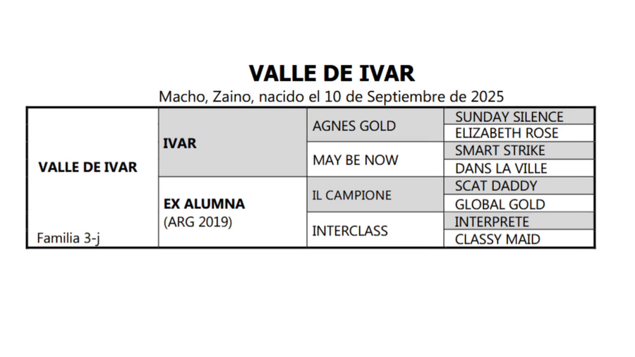 Lote VALLE DE IVAR
