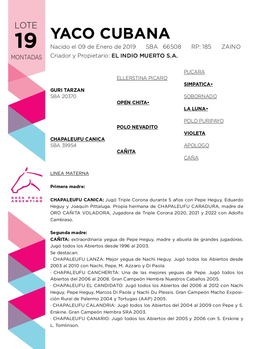 Lote YACO CUBANA (GURI TARZAN - CHAPALEUFU CANICA)