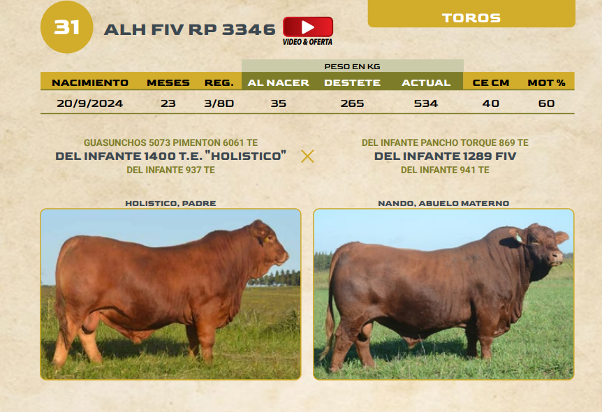 Lote LOTE 31
