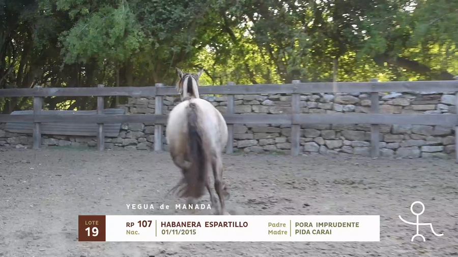 Lote HABANERA ESPARTILLO