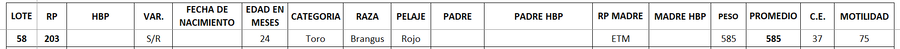 Lote LOTE 58