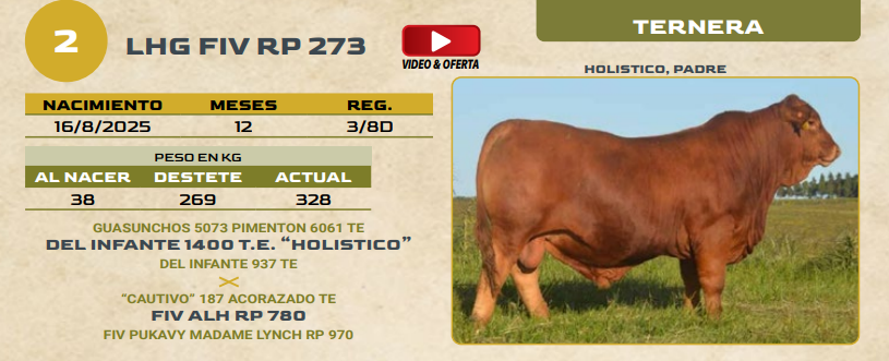 Lote LOTE 2