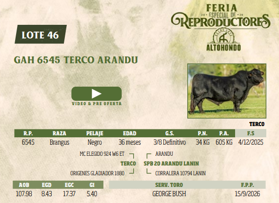 Lote LOTE 46