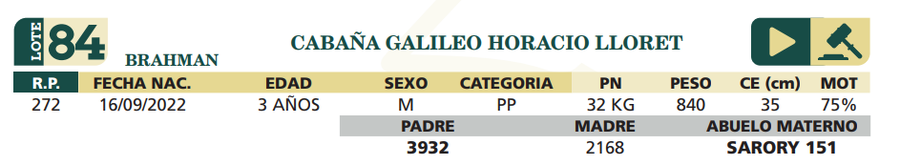 Lote LOTE 84