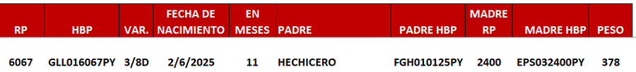 Lote LOTE 13 -DE JUNIOR