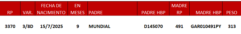 Lote LOTE 4 -DE JUNIOR