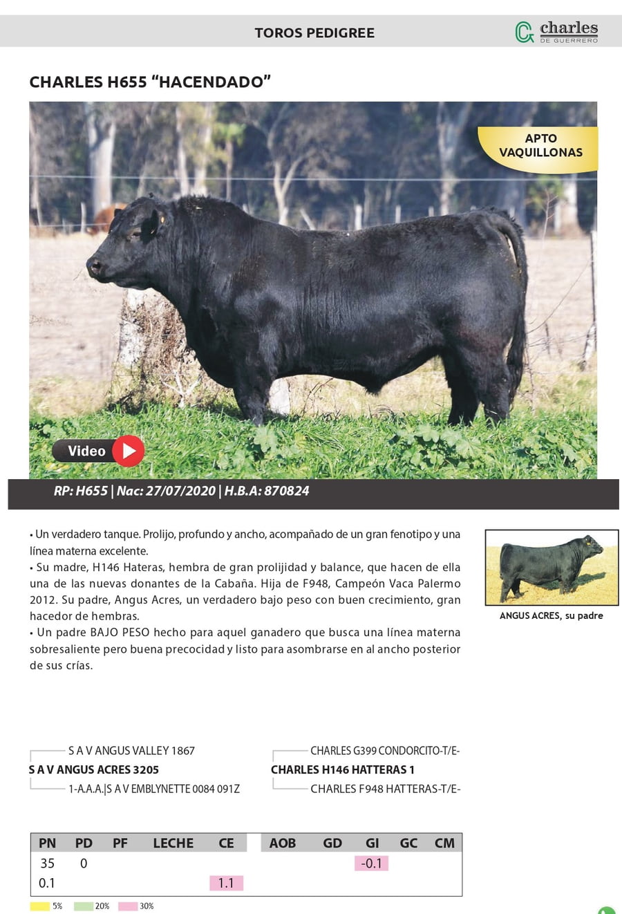 Lote TOROS PEDIGREE