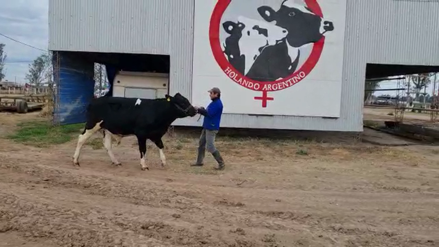 Lote Cabaña Beatriz