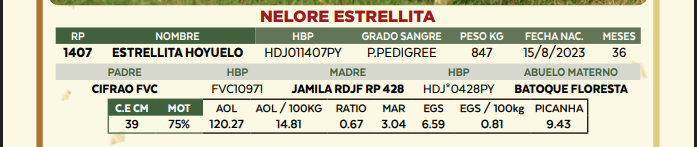 Lote LOTE 65