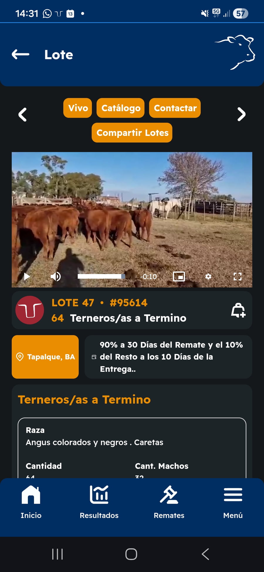 Lote 64 Terneros/as a término en Buenos Aires, Tapalqué