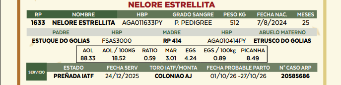 Lote LOTE 42