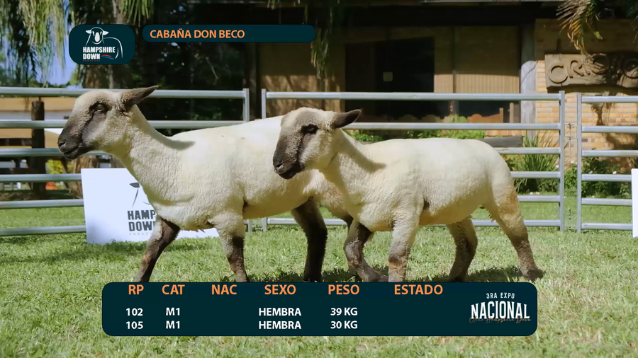 Lote LOTE 11 - CABAÑA DON BECO - RP 0102 / 0105