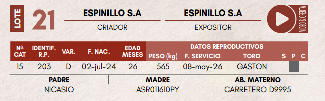 Lote LOTE 21 - VAQUILLAS DE CAMPO