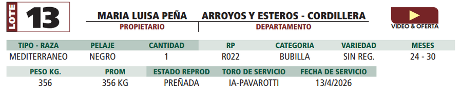 Lote LOTE 13