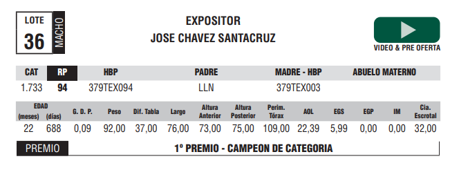 Lote LOTE 36