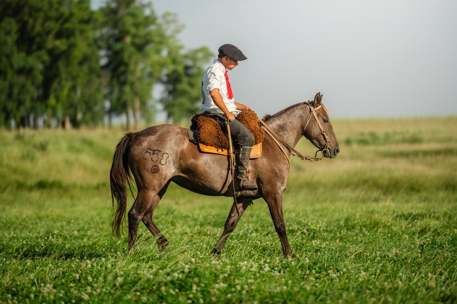 Lote Bombolita Bordona
