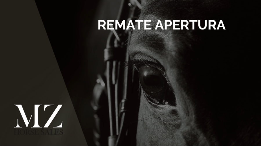 Lote CATCHER LOVE (CATCHER IN THE RYE -  LIFE FOR LOVE)