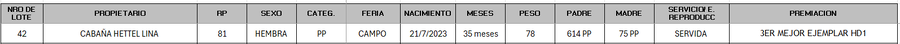 Lote LOTE 42 - CAMPO
