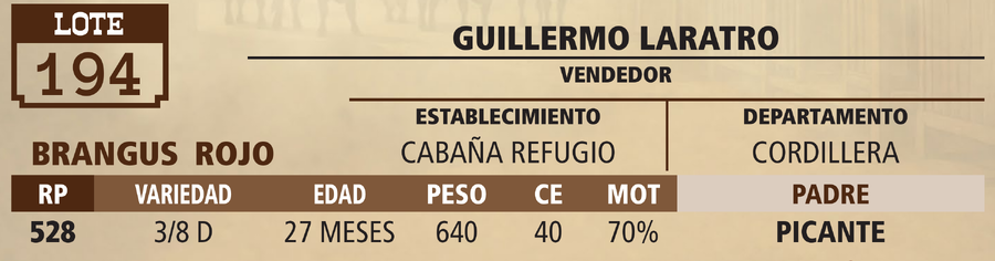 Lote LOTE 194 - VIVO