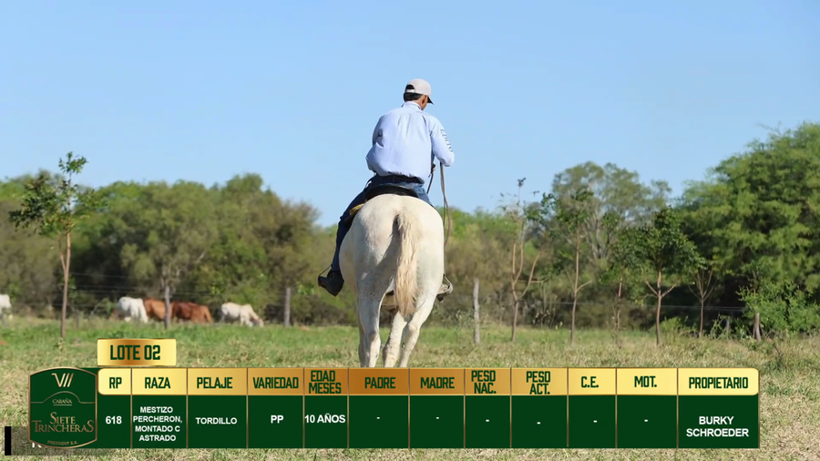 Lote LOTE 2