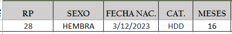 Lote LOTE 14