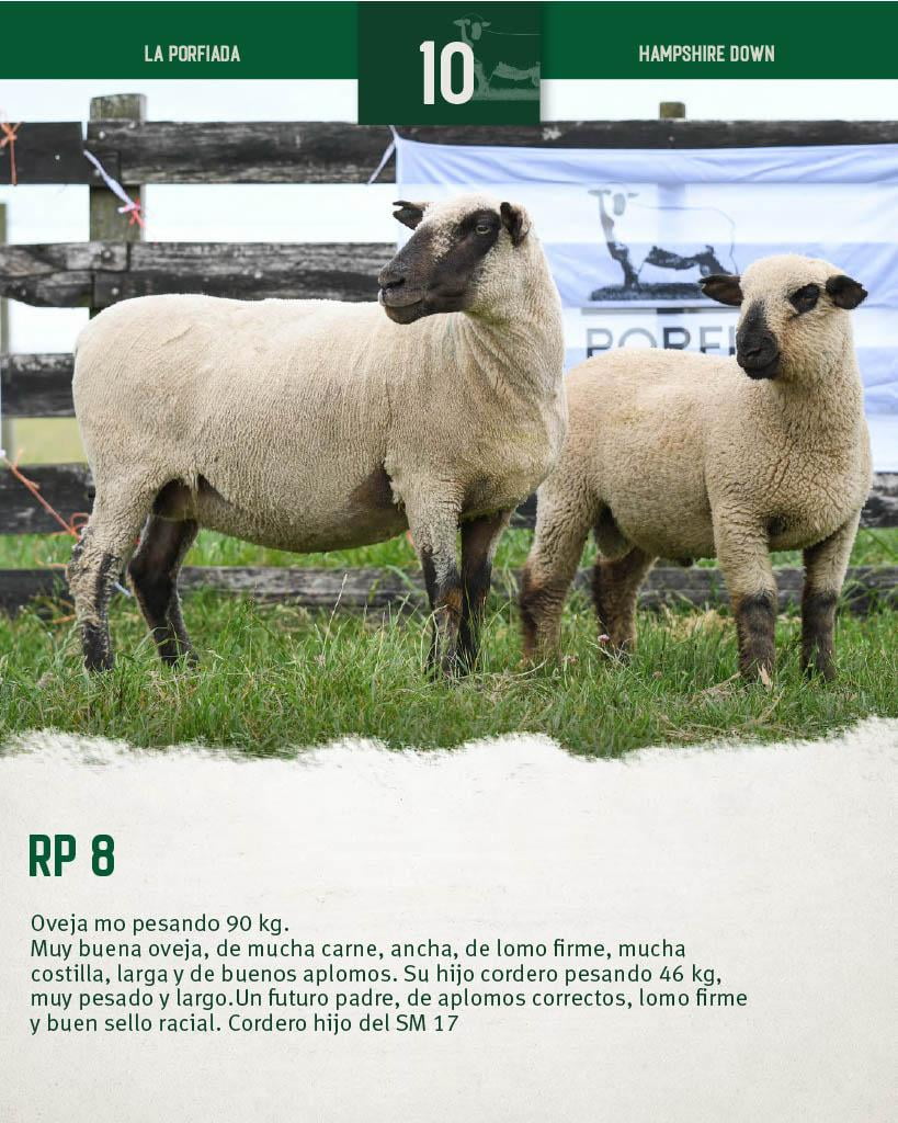 Lote Ovejas a remate en 4º Genetica Productiva, Florida