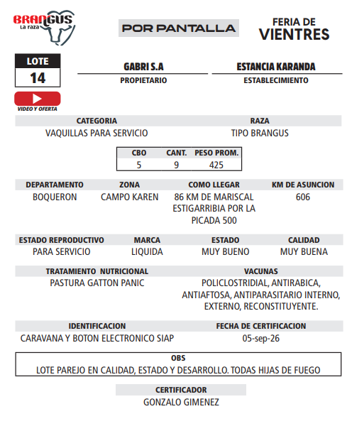Lote LOTE 14 - POR PANTALLA