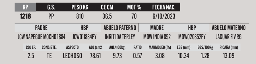 Lote LOTE 24