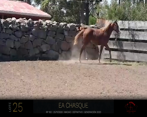 Lote EA CHASQUE