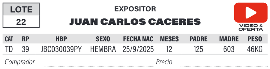 Lote LOTE 22