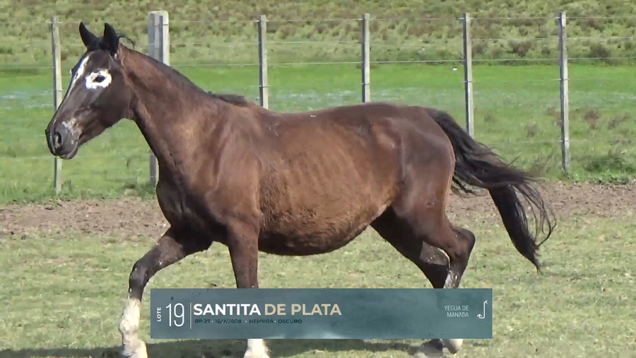 Lote Yeguarizos a remate en Criollos, Montevideo